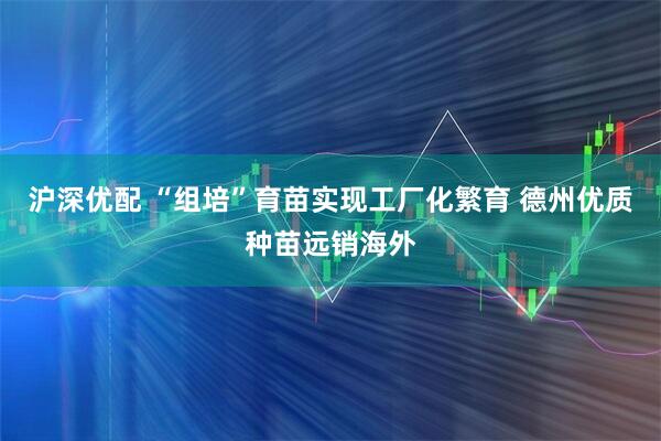 沪深优配 “组培”育苗实现工厂化繁育 德州优质种苗远销海外